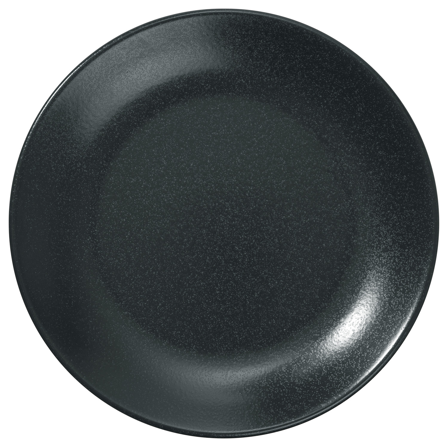 Flat plate. Тарелка черная. Черная тарелка сверху. Тарелка обеденная 24. Посуда Vega.